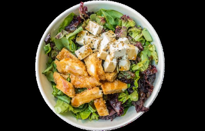 Chilled Tofu Salad — Chinese catering by Welcome Caterers in Pune
